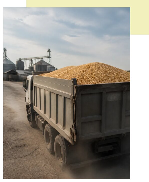 Перевозка сельхозпродукции навалом в Ахтубинск по цене от 3107 р. | Агросервис-Хтб
