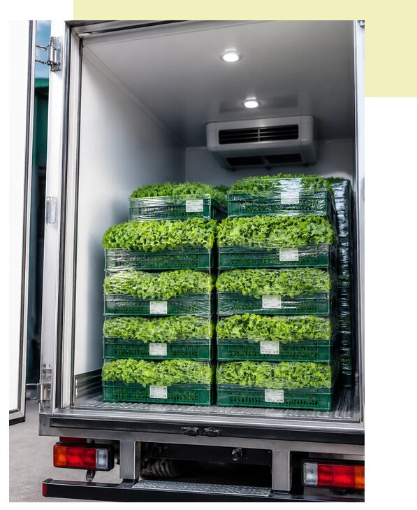 Перевозка листового салата в Ахтубинск по цене от 5178 р. | Агросервис-Хтб