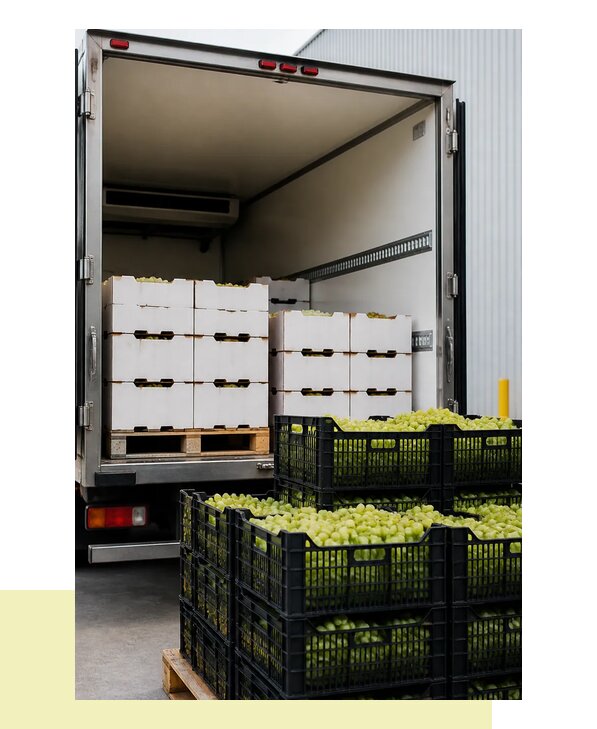 Перевозка винограда в Ахтубинск с сохранением качества урожая